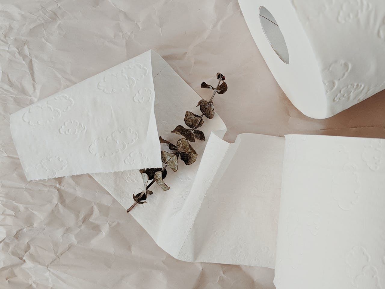 Aesthetic arrangement of toilet paper with dry eucalyptus on paper surface, showcasing minimalism and hygiene.